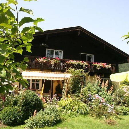 Appartement Am Schilift Sankt Gilgen Exterior photo